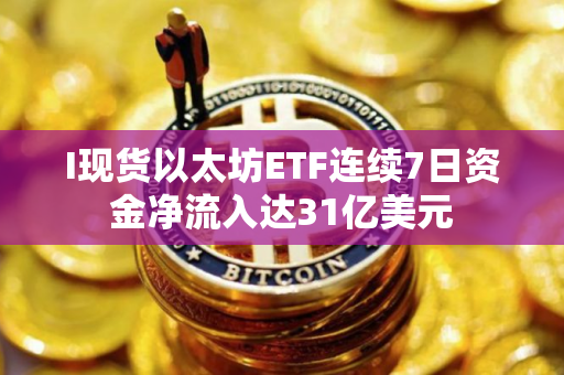 I现货以太坊ETF连续7日资金净流入达31亿美元