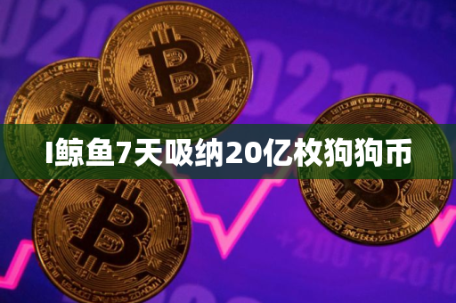 I鲸鱼7天吸纳20亿枚狗狗币
