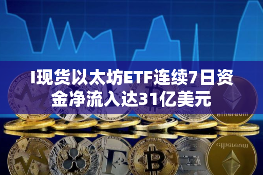 I现货以太坊ETF连续7日资金净流入达31亿美元