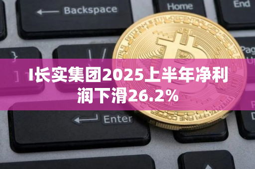 I长实集团2025上半年净利润下滑26.2%
