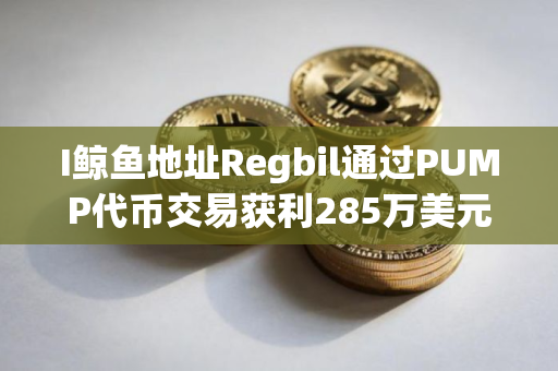 I鲸鱼地址Regbil通过PUMP代币交易获利285万美元