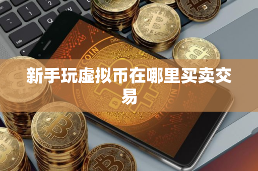 新手玩虚拟币在哪里买卖交易