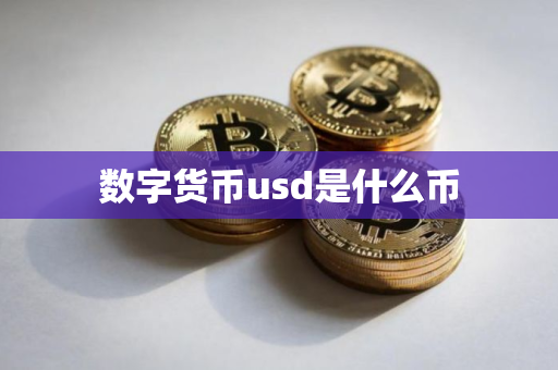 数字货币usd是什么币