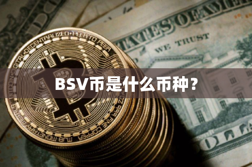 BSV币是什么币种？
