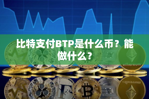 比特支付BTP是什么币？能做什么？