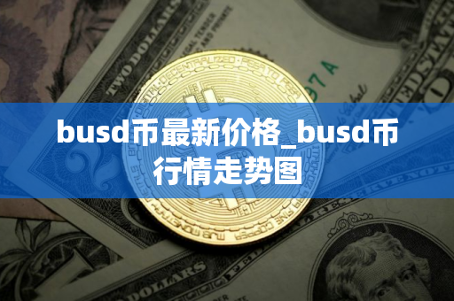 busd币最新价格_busd币行情走势图