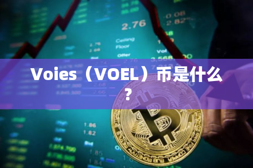Voies（VOEL）币是什么？