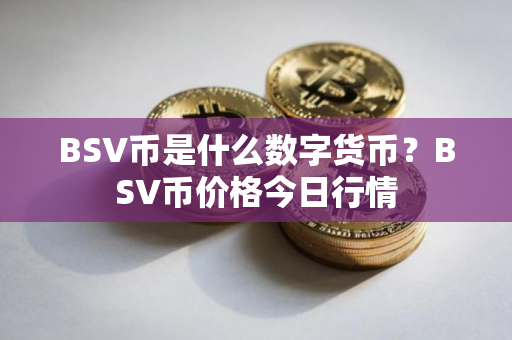 BSV币是什么数字货币？BSV币价格今日行情