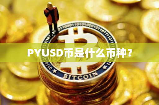 PYUSD币是什么币种？