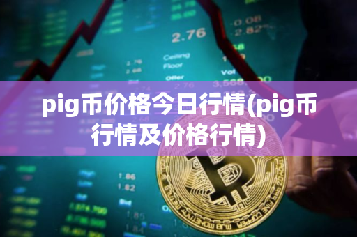 pig币价格今日行情(pig币行情及价格行情)