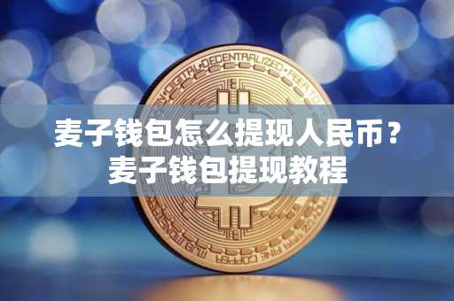 麦子钱包怎么提现人民币？麦子钱包提现教程