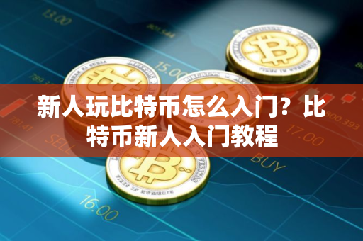 新人玩比特币怎么入门？比特币新人入门教程