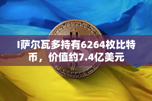 I萨尔瓦多持有6264枚比特币，价值约7.4亿美元