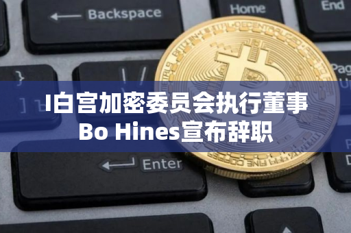 I白宫加密委员会执行董事Bo Hines宣布辞职