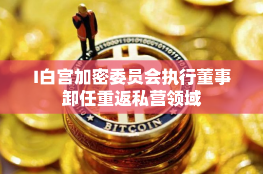 I白宫加密委员会执行董事卸任重返私营领域