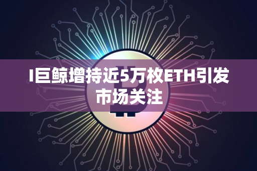 I巨鲸增持近5万枚ETH引发市场关注