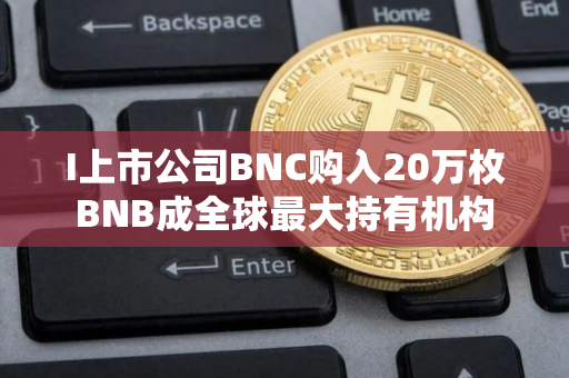 I上市公司BNC购入20万枚BNB成全球最大持有机构