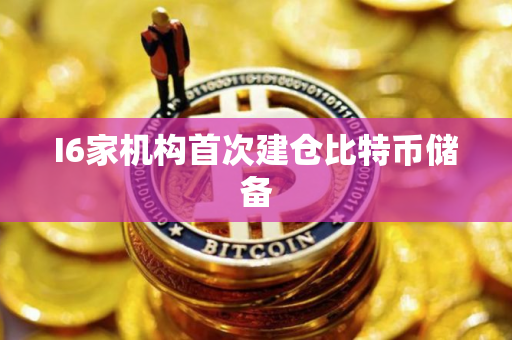 I6家机构首次建仓比特币储备