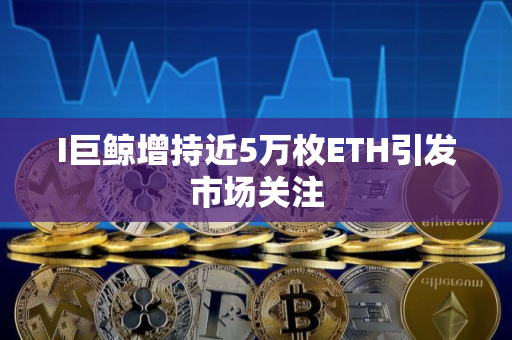 I巨鲸增持近5万枚ETH引发市场关注