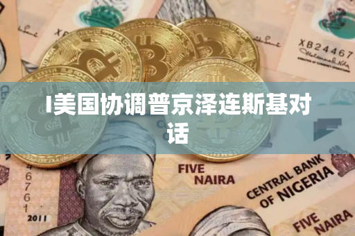 I美国协调普京泽连斯基对话