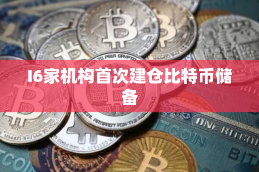 I6家机构首次建仓比特币储备
