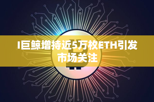 I巨鲸增持近5万枚ETH引发市场关注 I巨鲸增持近5万枚ETH引发市场关注