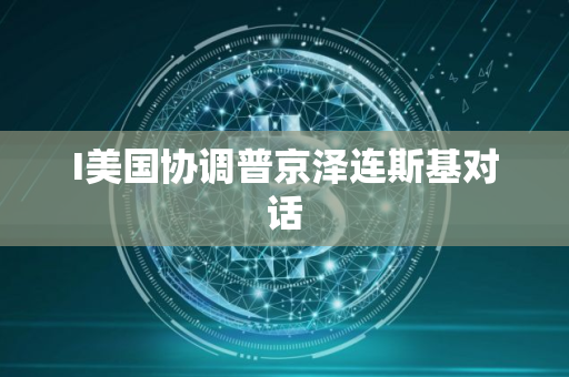 I美国协调普京泽连斯基对话