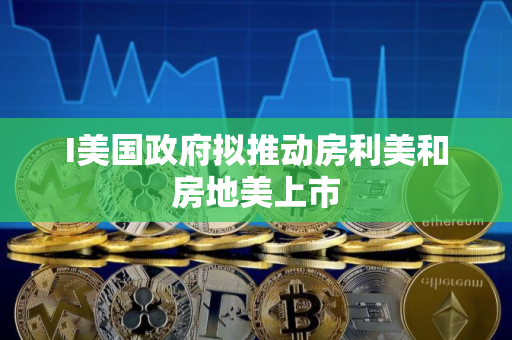 I美国政府拟推动房利美和房地美上市
