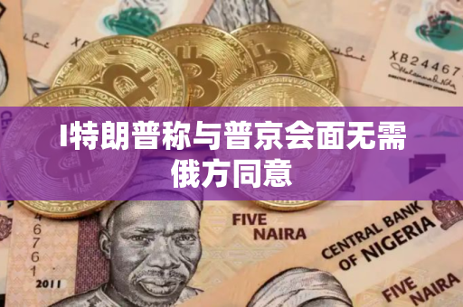 I特朗普称与普京会面无需俄方同意