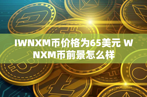 IWNXM币价格为65美元 WNXM币前景怎么样