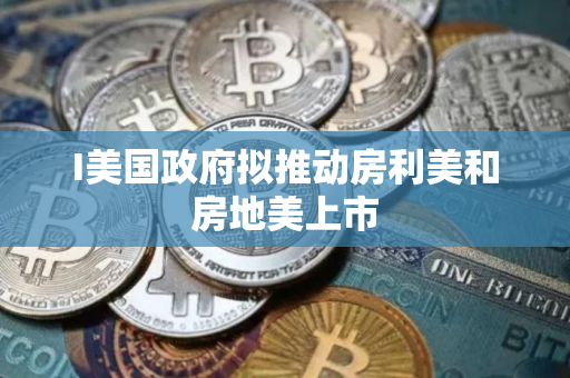 I美国政府拟推动房利美和房地美上市
