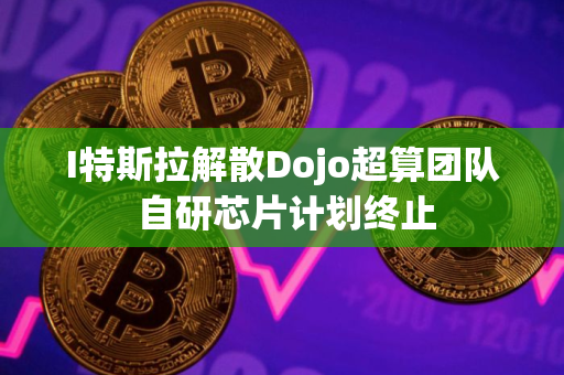 I特斯拉解散Dojo超算团队 自研芯片计划终止