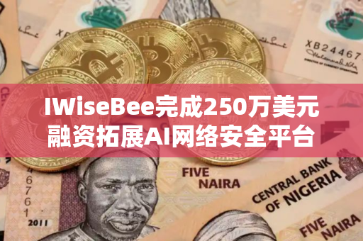 IWiseBee完成250万美元融资拓展AI网络安全平台