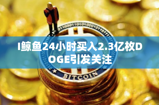 I鲸鱼24小时买入2.3亿枚DOGE引发关注