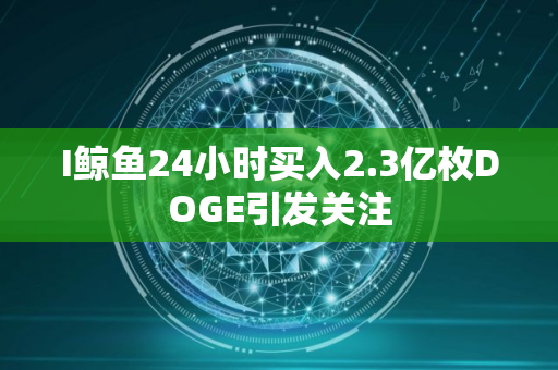 I鲸鱼24小时买入2.3亿枚DOGE引发关注