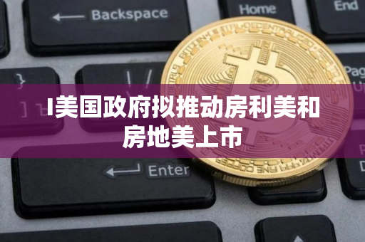 I美国政府拟推动房利美和房地美上市