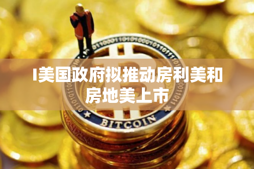 I美国政府拟推动房利美和房地美上市