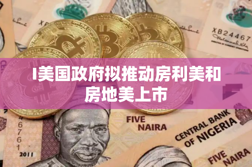 I美国政府拟推动房利美和房地美上市