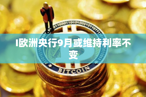I欧洲央行9月或维持利率不变
