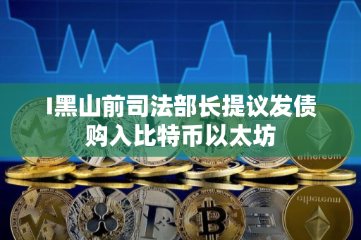 I黑山前司法部长提议发债购入比特币以太坊