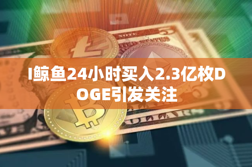 I鲸鱼24小时买入2.3亿枚DOGE引发关注