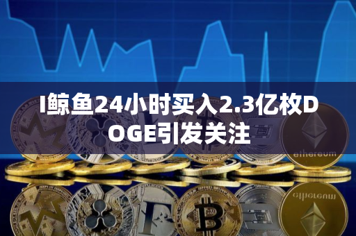 I鲸鱼24小时买入2.3亿枚DOGE引发关注