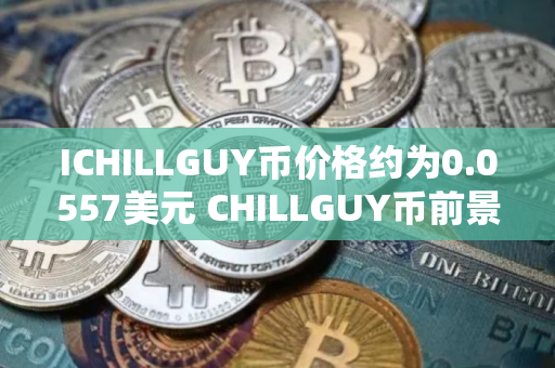 ICHILLGUY币价格约为0.0557美元 CHILLGUY币前景怎么样