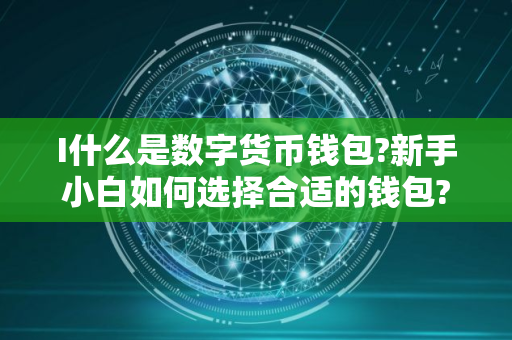 I什么是数字货币钱包?新手小白如何选择合适的钱包?