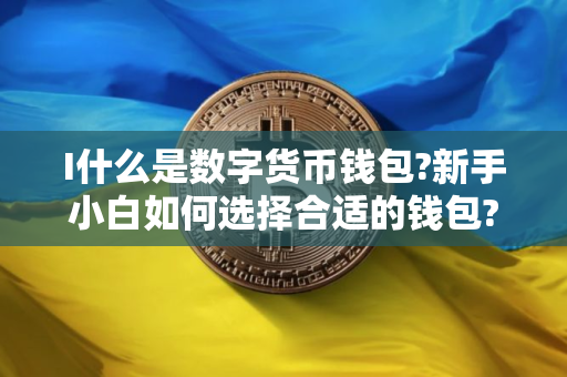 I什么是数字货币钱包?新手小白如何选择合适的钱包?