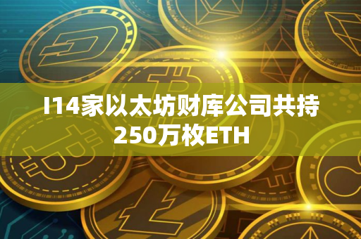 I14家以太坊财库公司共持250万枚ETH