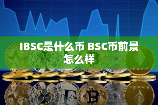 IBSC是什么币 BSC币前景怎么样