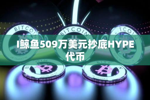I鲸鱼509万美元抄底HYPE代币