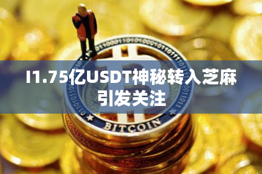 I1.75亿USDT神秘转入芝麻引发关注