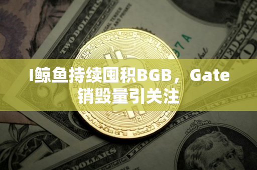 I鲸鱼持续囤积BGB，Gate销毁量引关注